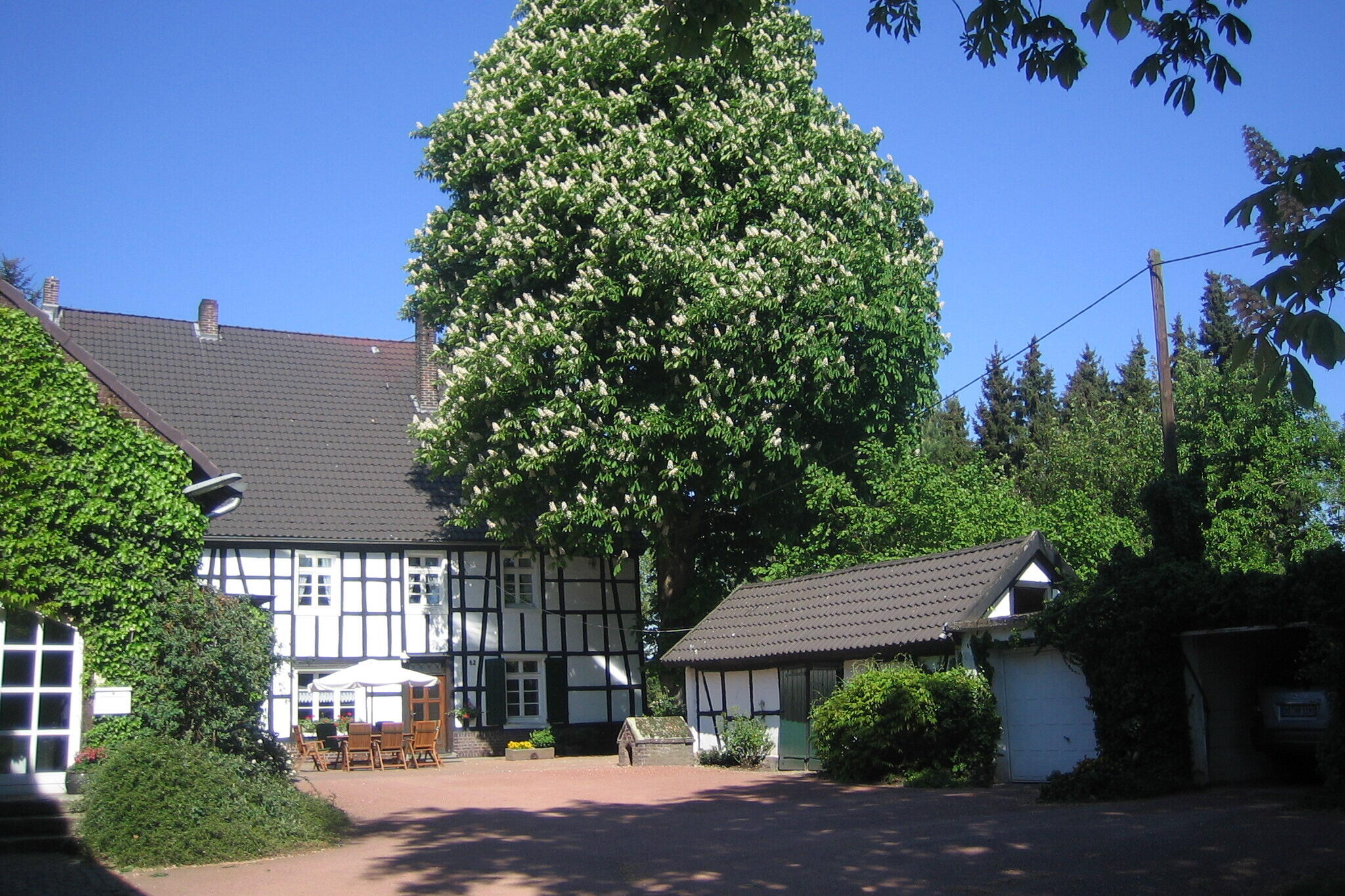 Dorfidylle: Fachwerkhaus mit Kastanienbaum