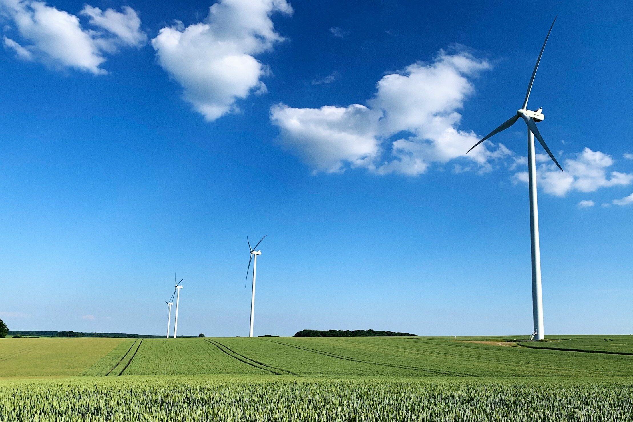 Windräder auf einem Getreidefeld, blauer Himmel