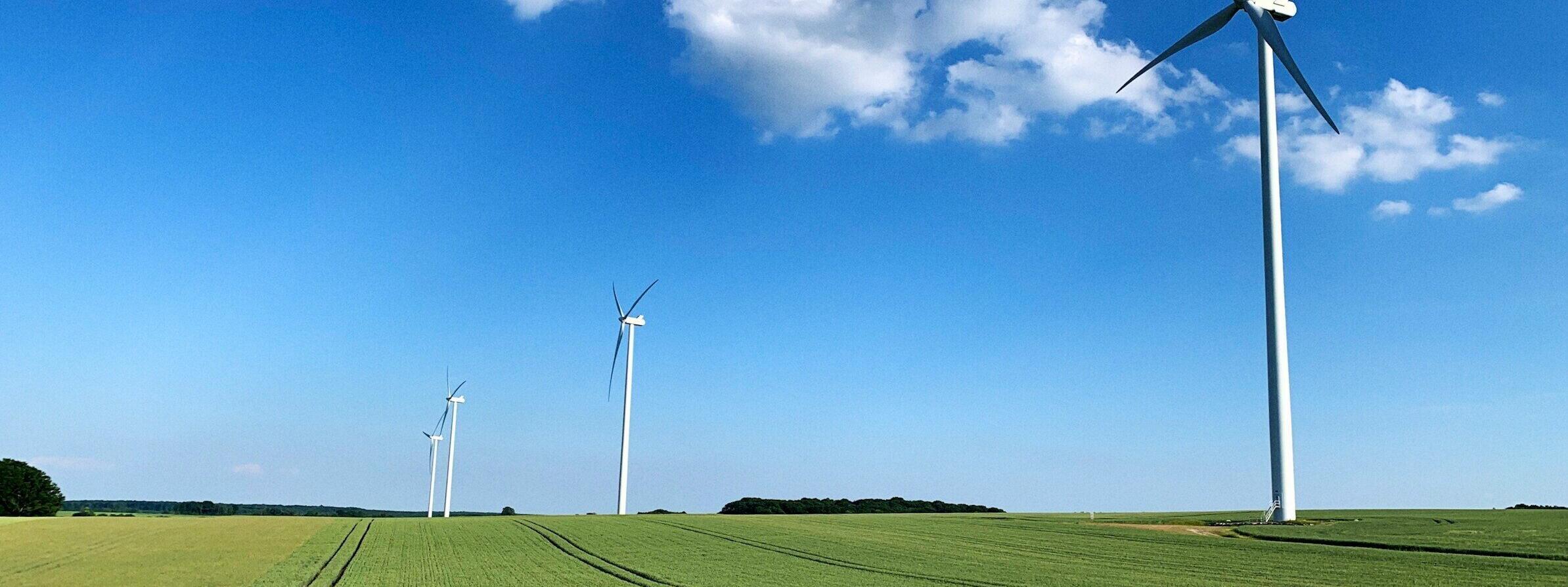 Windräder auf einem Getreidefeld, blauer Himmel