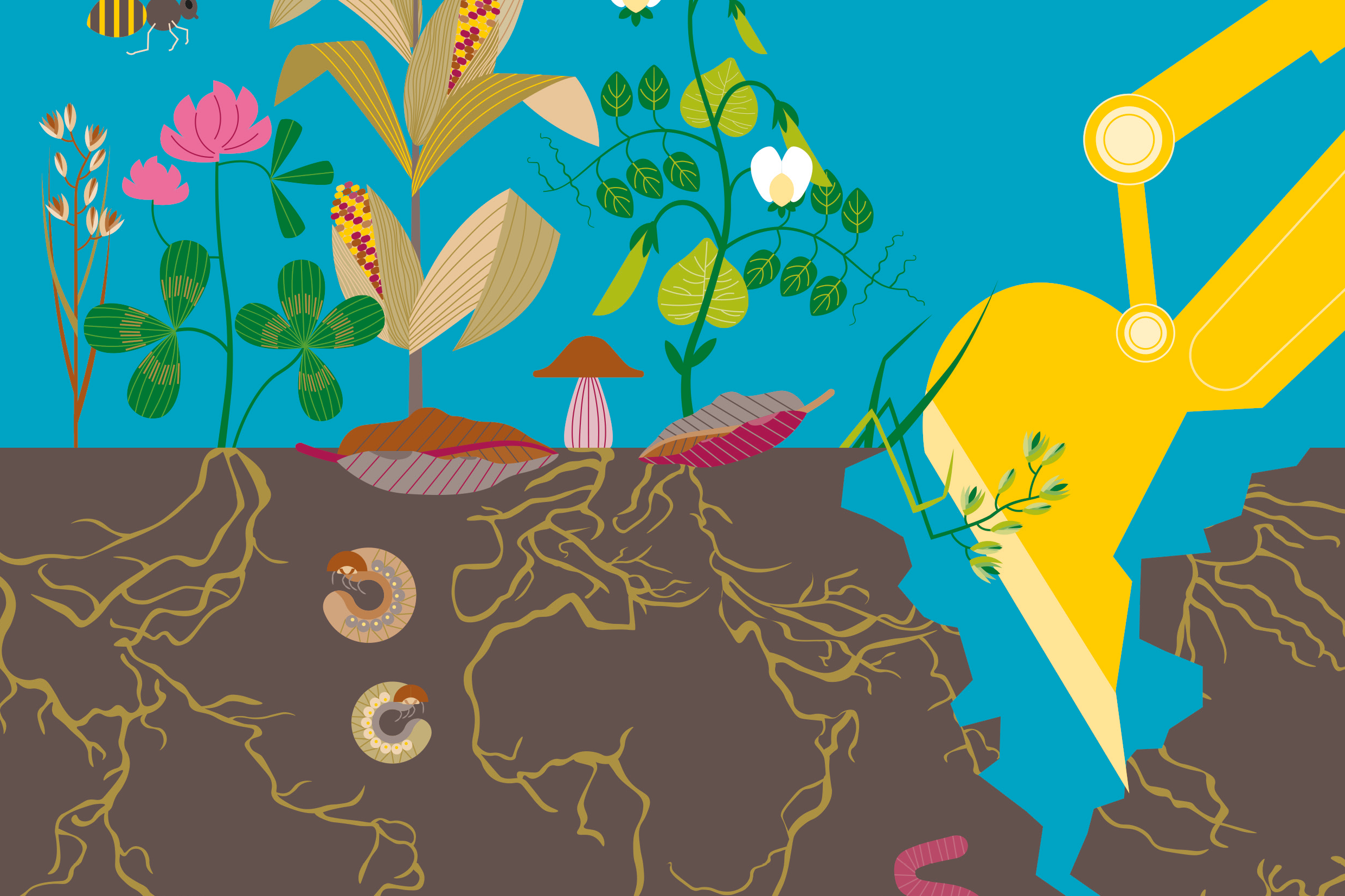 Das Cover-Bild Bodenatlas 2024. Eine Grafik, die Pflanzen, durchwurzelten Boden und eine Baggerschaufel zeigt.