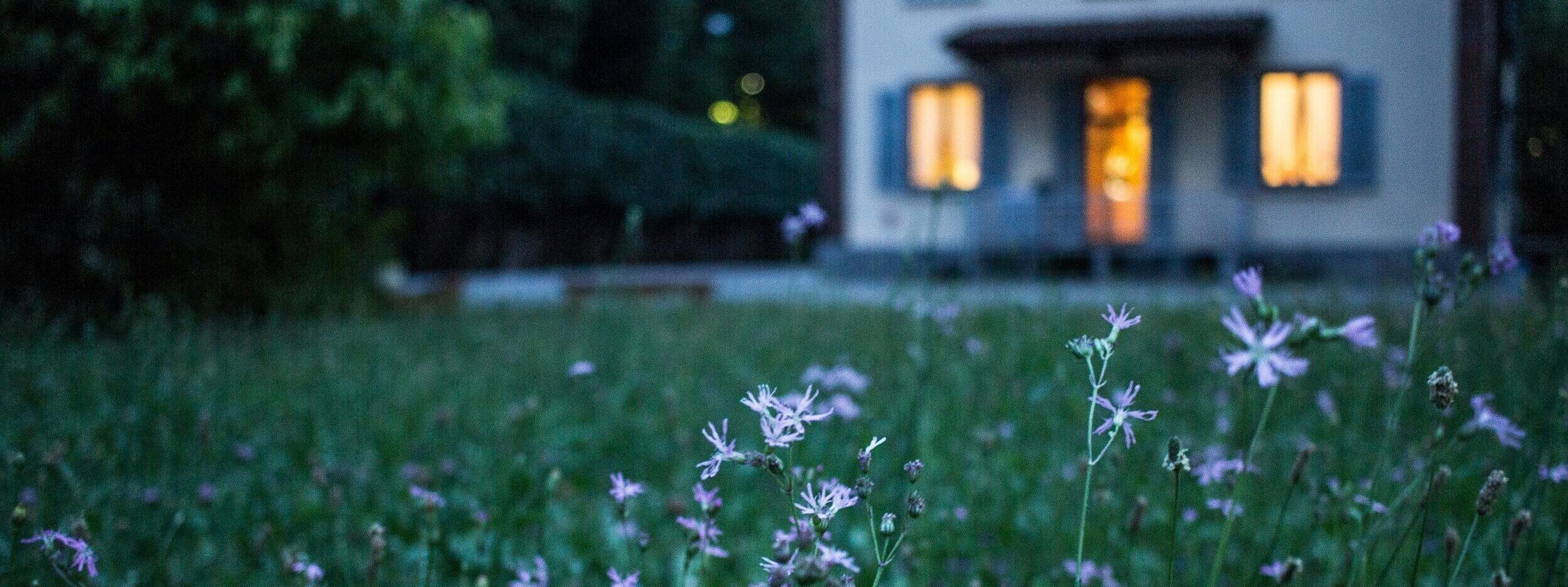 Blumenwiese in der Dämmerung, Im Hintergrund ein Haus mit erleuchteten Fenstern.