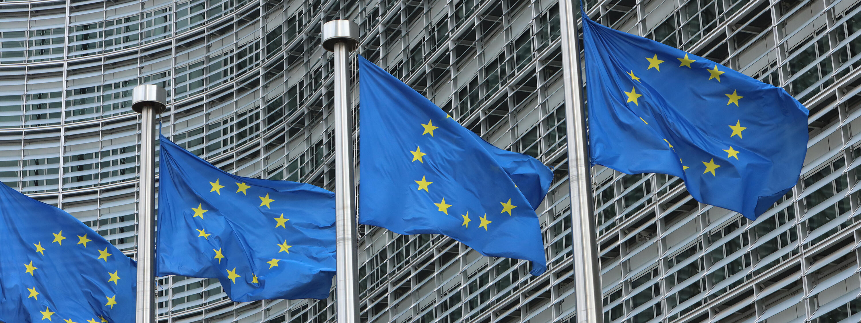 EU - Fahnen in Brüssel