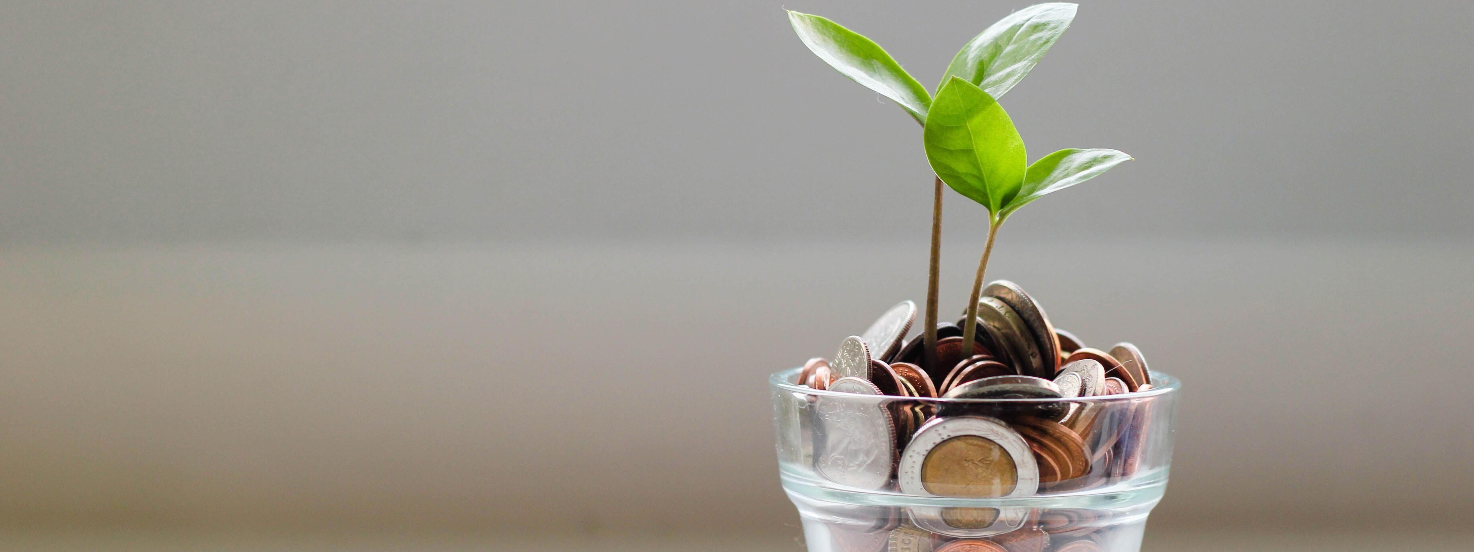 Eine Pflanze wächst aus einem Glas mit Kleingeld