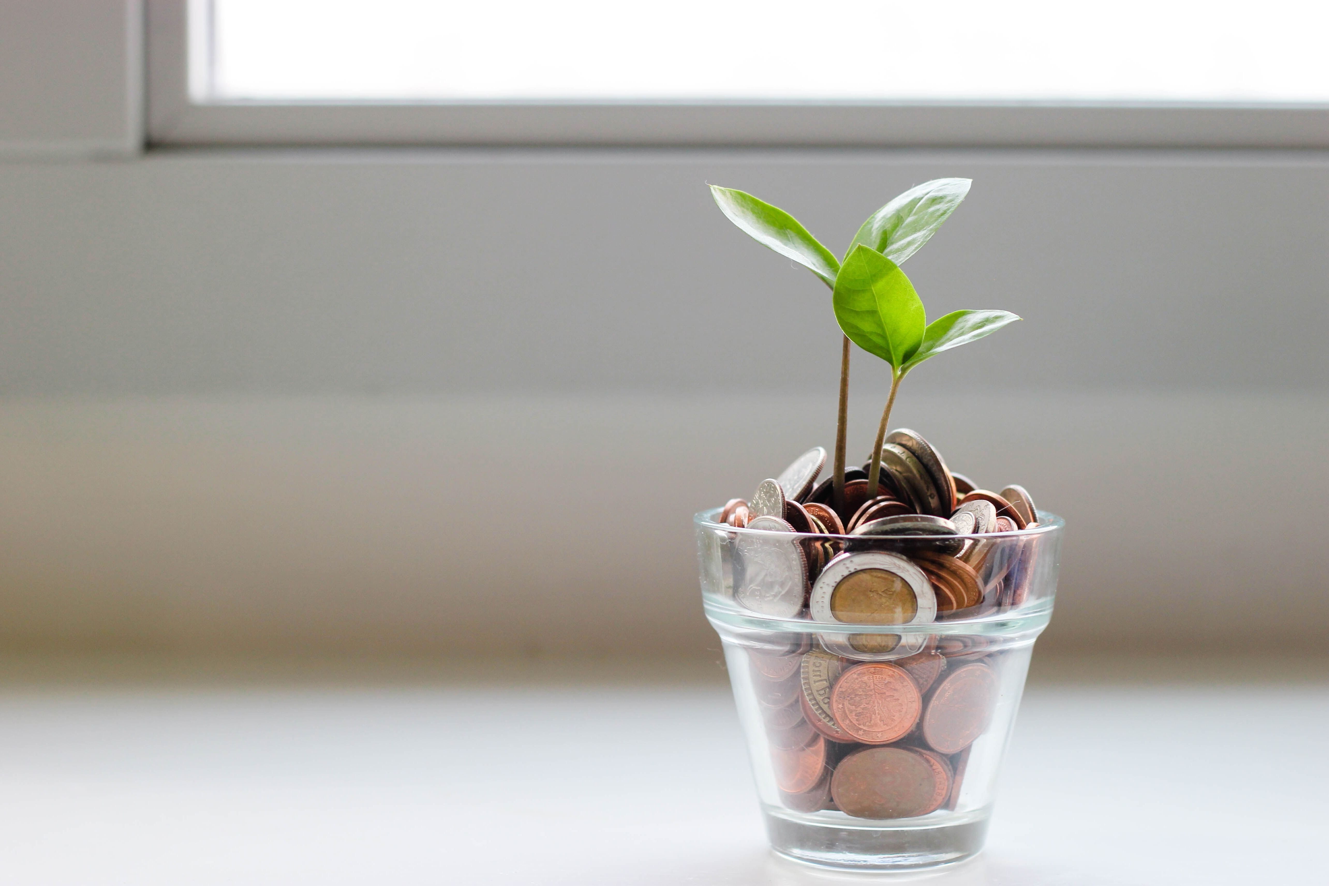 Eine Pflanze wächst aus einem Glas mit Kleingeld