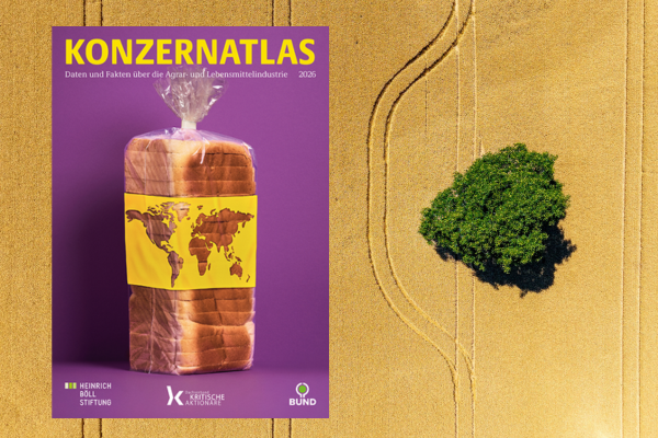 Titelbildcollage Konzernatlas 2026 der Heinrich Böll Stiftung