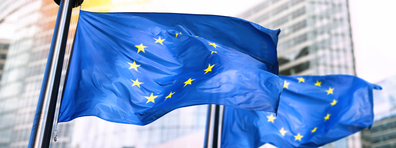 EU Fahne vor Gebäude