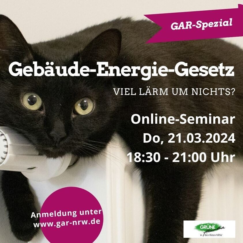 Katze auf Heizung - Online-Seminar 21.03.24 zum Gebäudeenergiegesetz